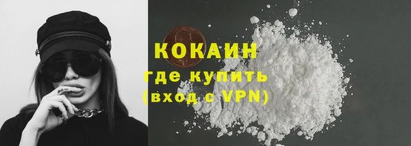 PSILOCYBIN Вязьма